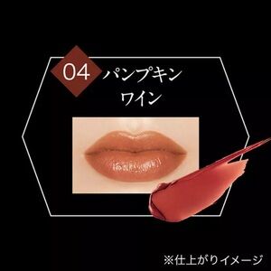 KATE Lip Monster 04 Pumpkin Wine Lipstick Japan